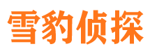 滑县市调查公司